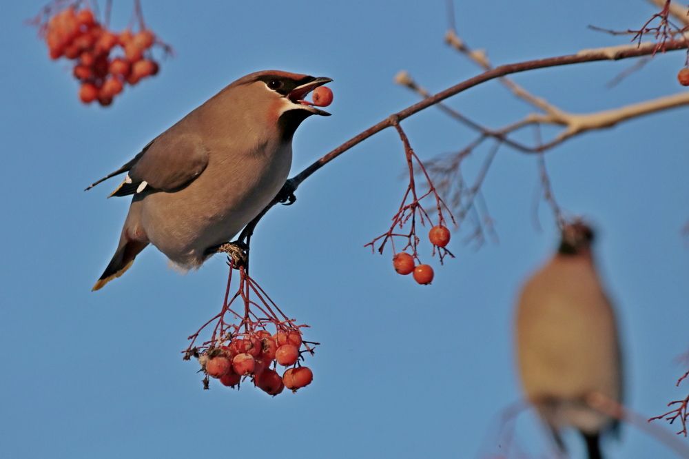 Photograph by Александр Велигура