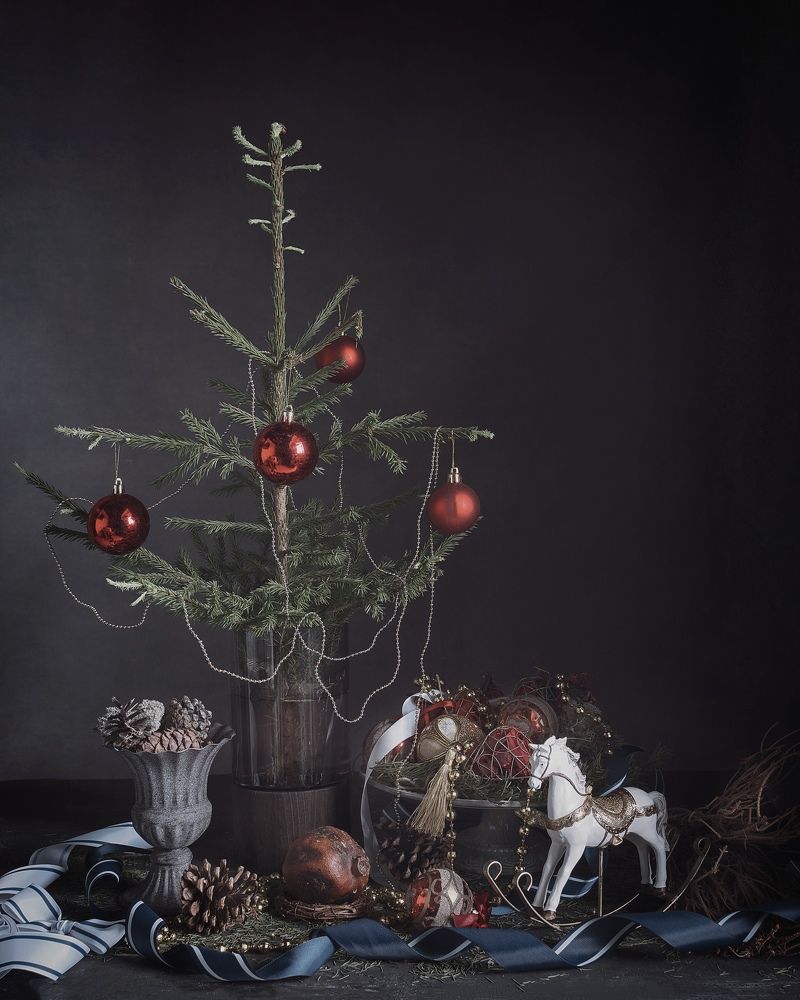 Фотография автора Viktoriya Shamanova