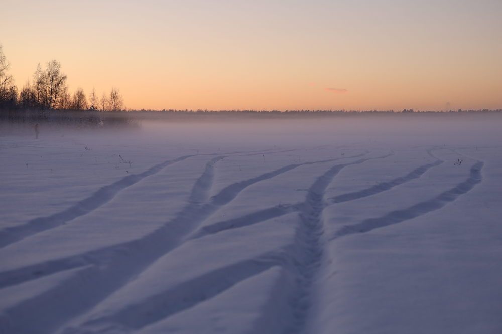 Photograph by Людмила Кочеткова