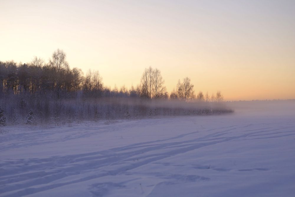 Photograph by Людмила Кочеткова
