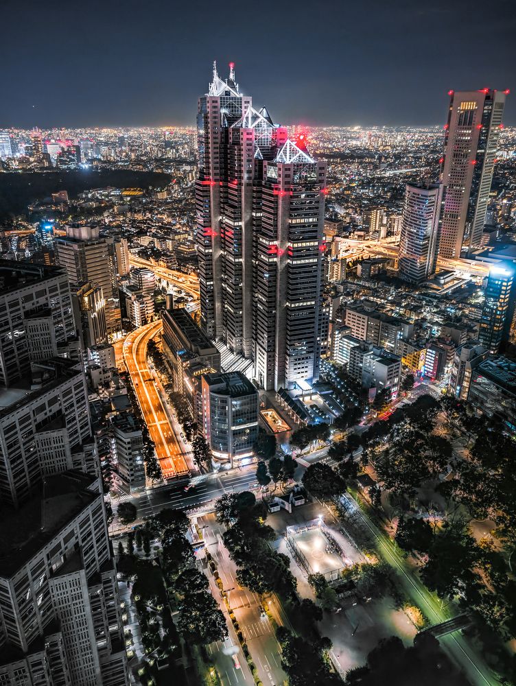 Neon Pulse of Shinjuku