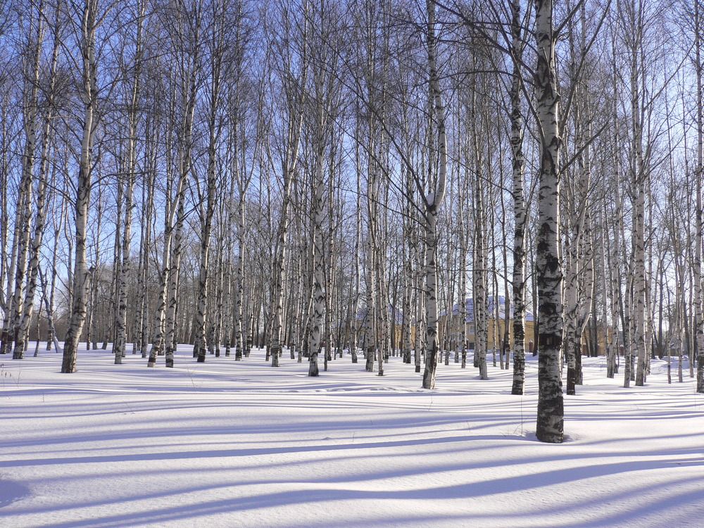 Photograph by Екатерина Хозяшева