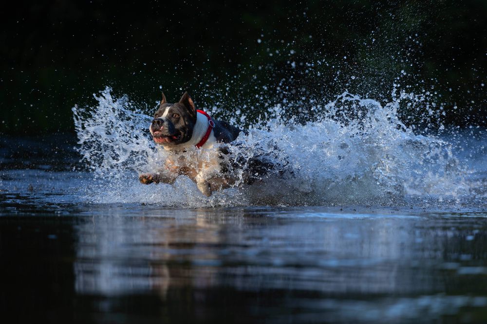 Photograph by Наталия