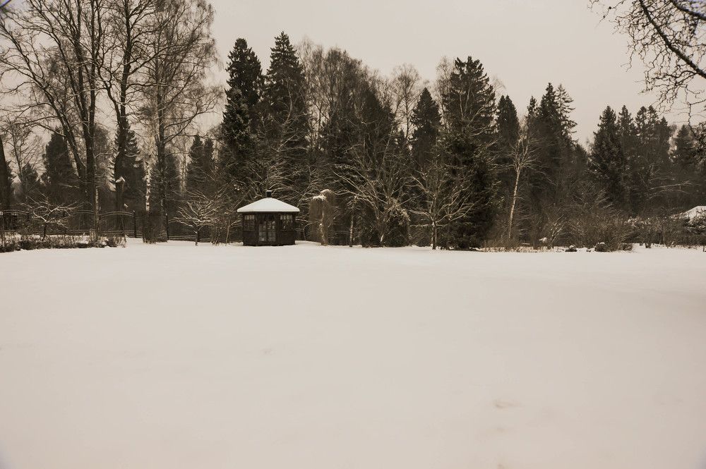 Фотография автора Виталий Дузь