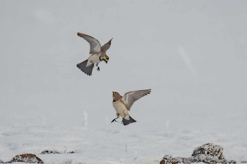 Photograph by Вячеслав Ладанов