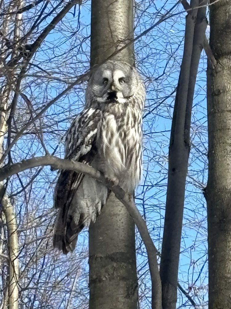 Photograph by Юлия