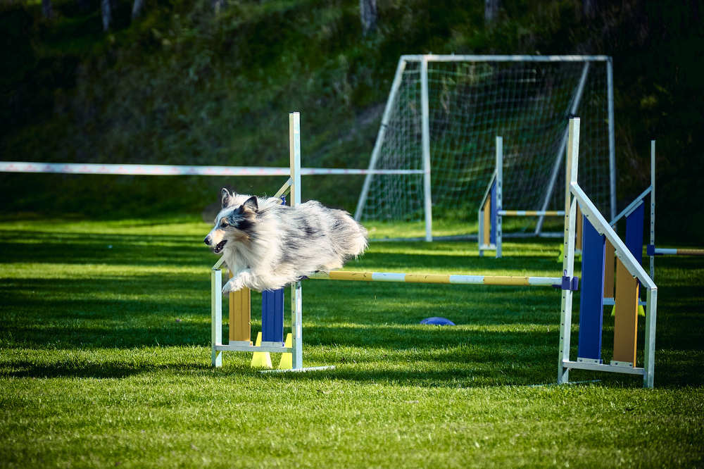 Photograph by Станислав Дроздов