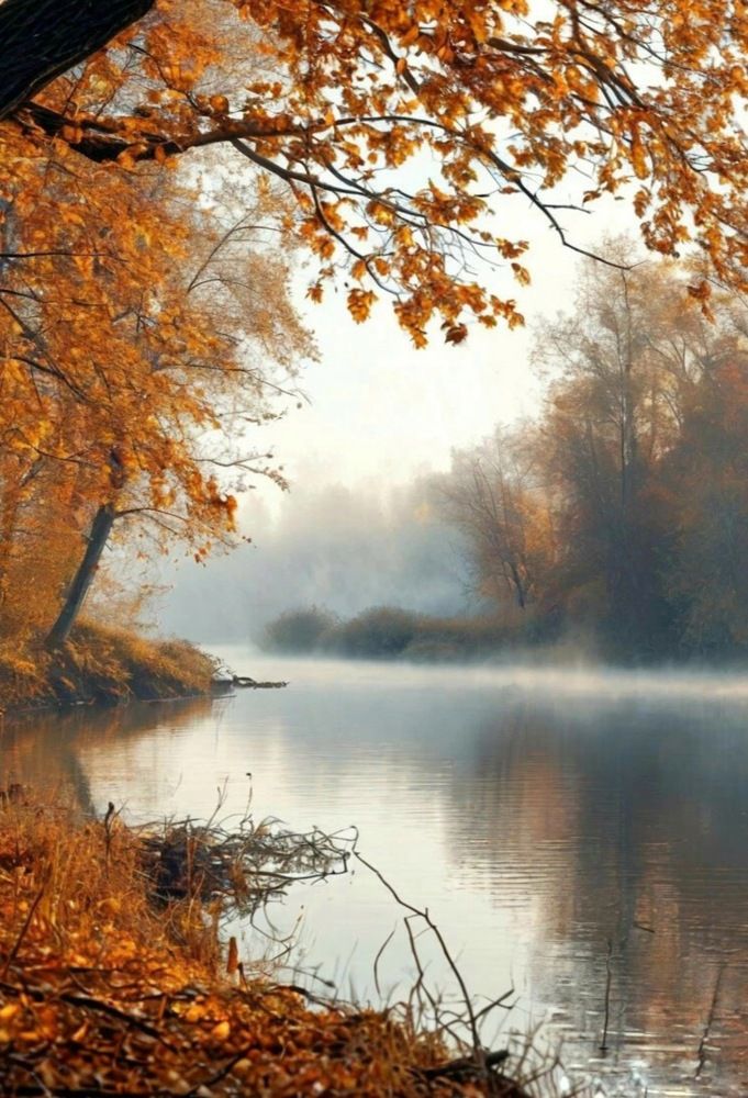 Photograph by Олеся Хижко