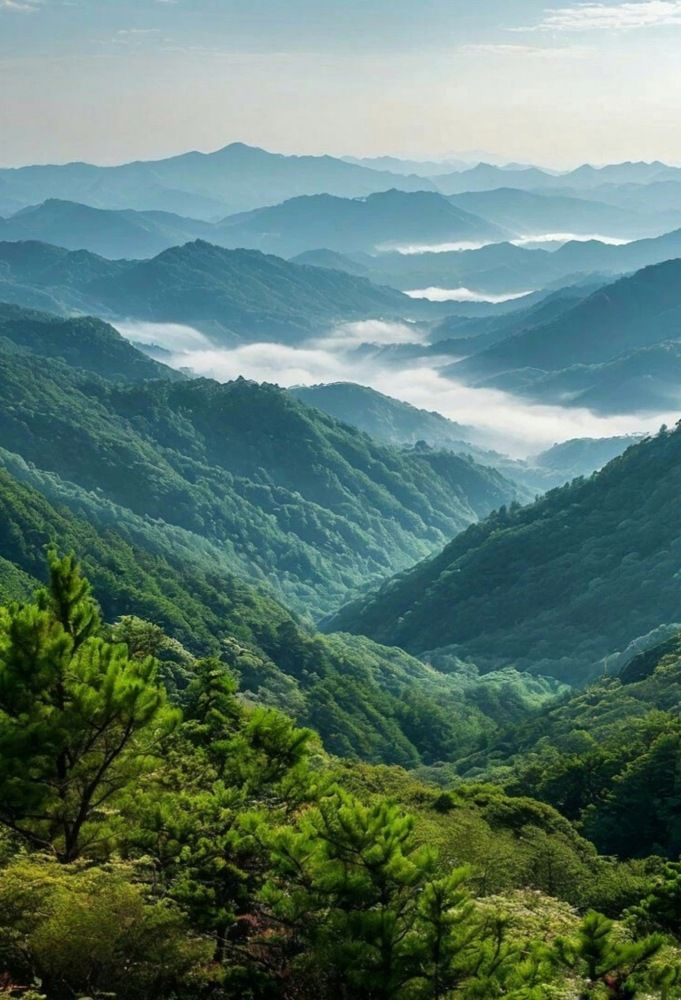 Photograph by Олеся Хижко