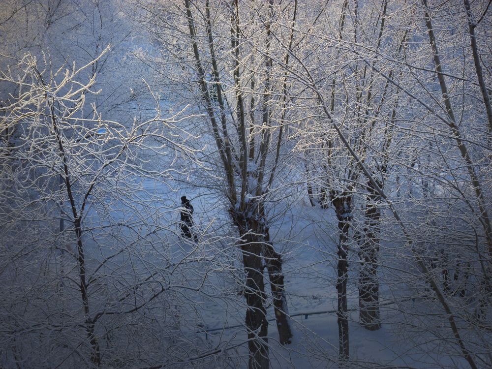 Photograph by Валерий Алфимов