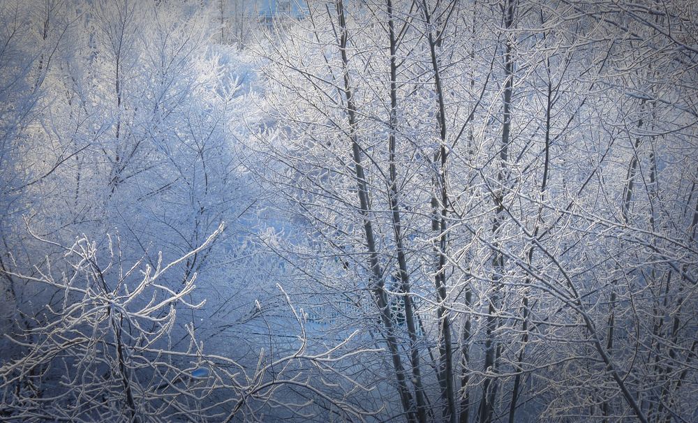 Photograph by Валерий Алфимов