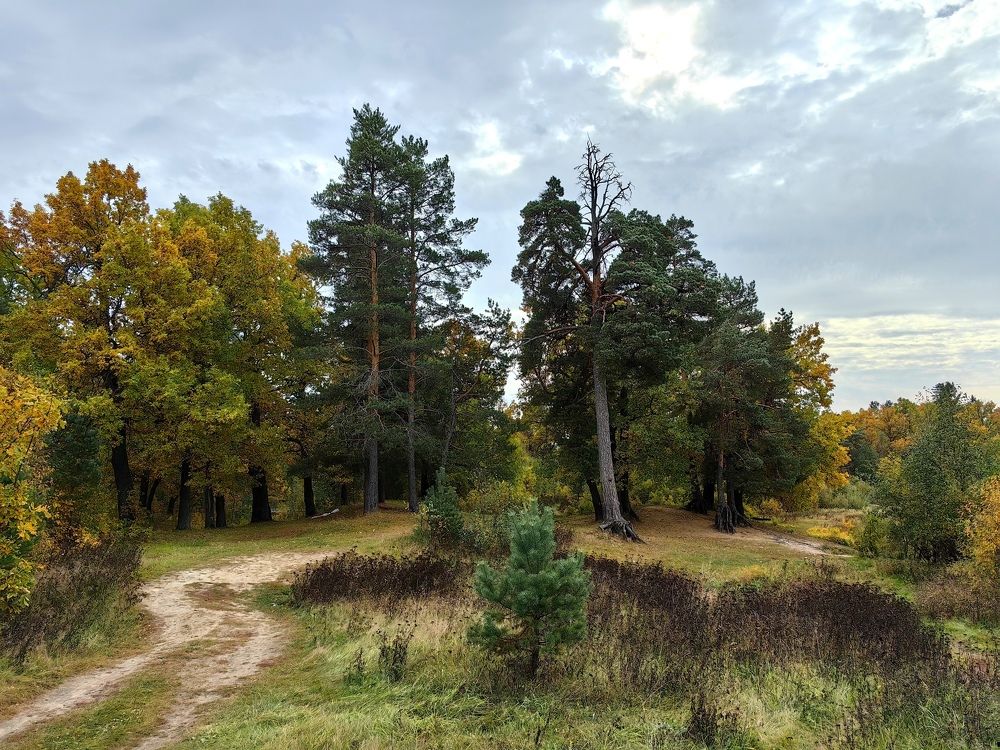 Photograph by Татьяна Емельянова