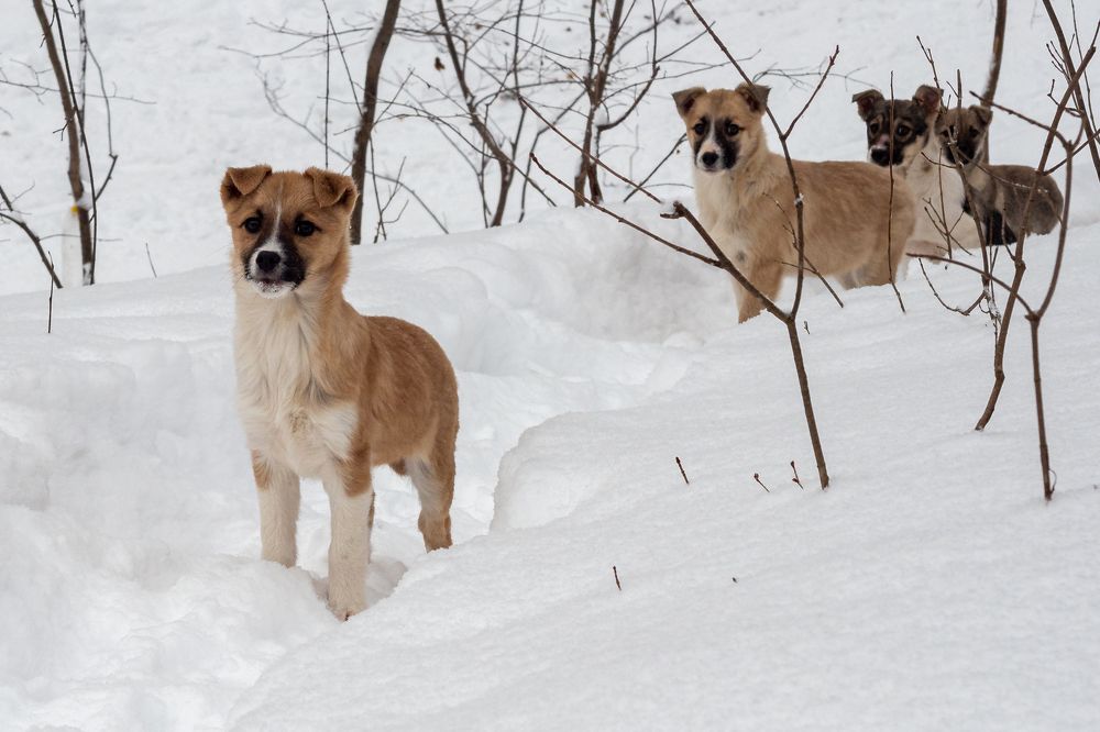 Фотография автора Валерий Бычков