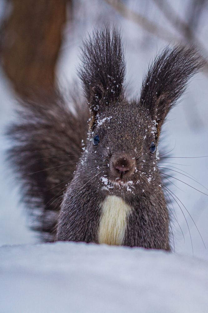 Photograph by Анна Осинцева