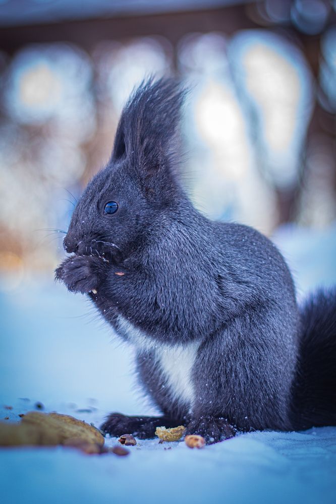 Photograph by Анна Осинцева
