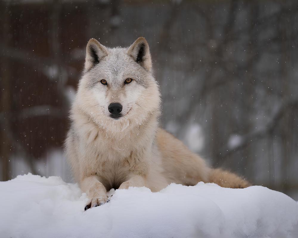 Photograph by Данил Шауба