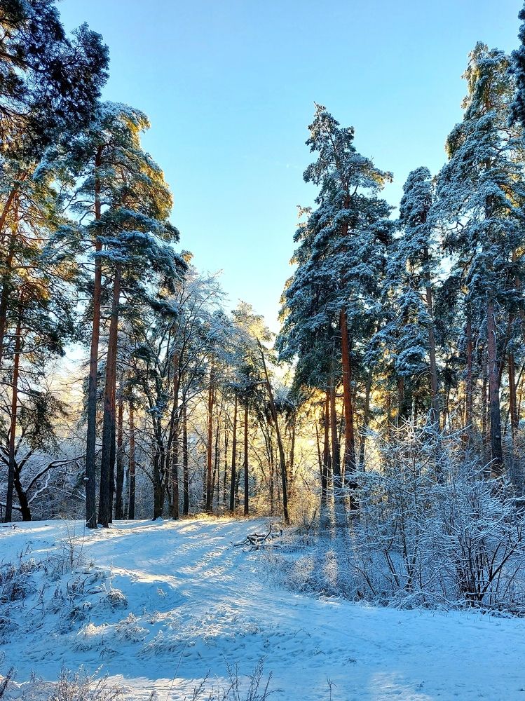 Photograph by Татьяна Емельянова