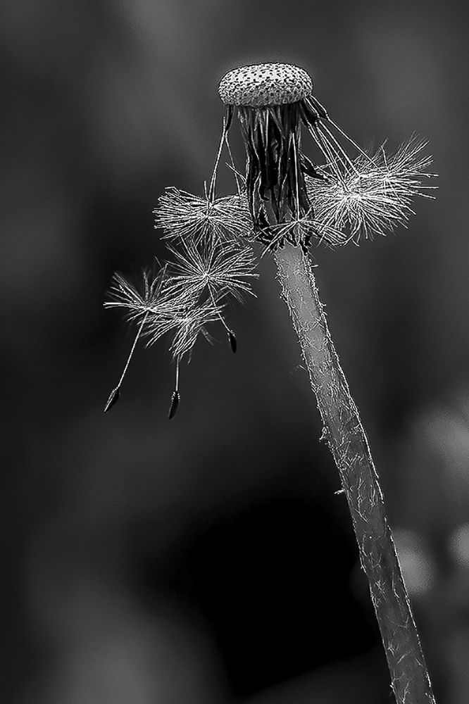 Photograph by Сергей Черных