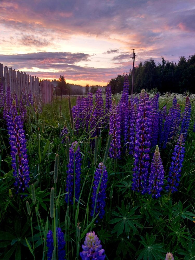 Photograph by Татьяна Емельянова