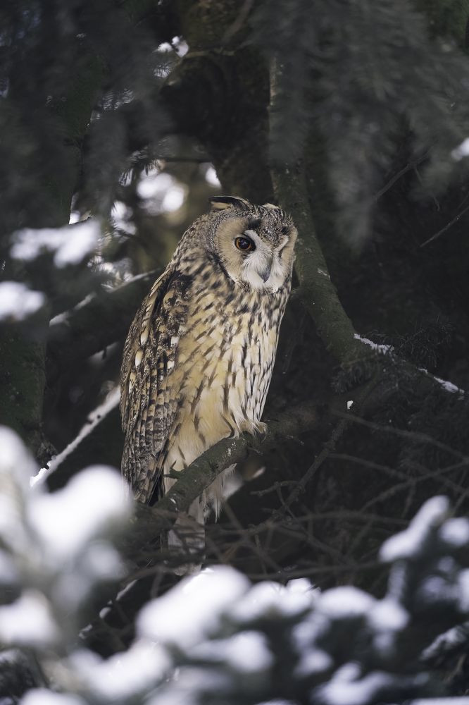 Photograph by Никита Филиппов