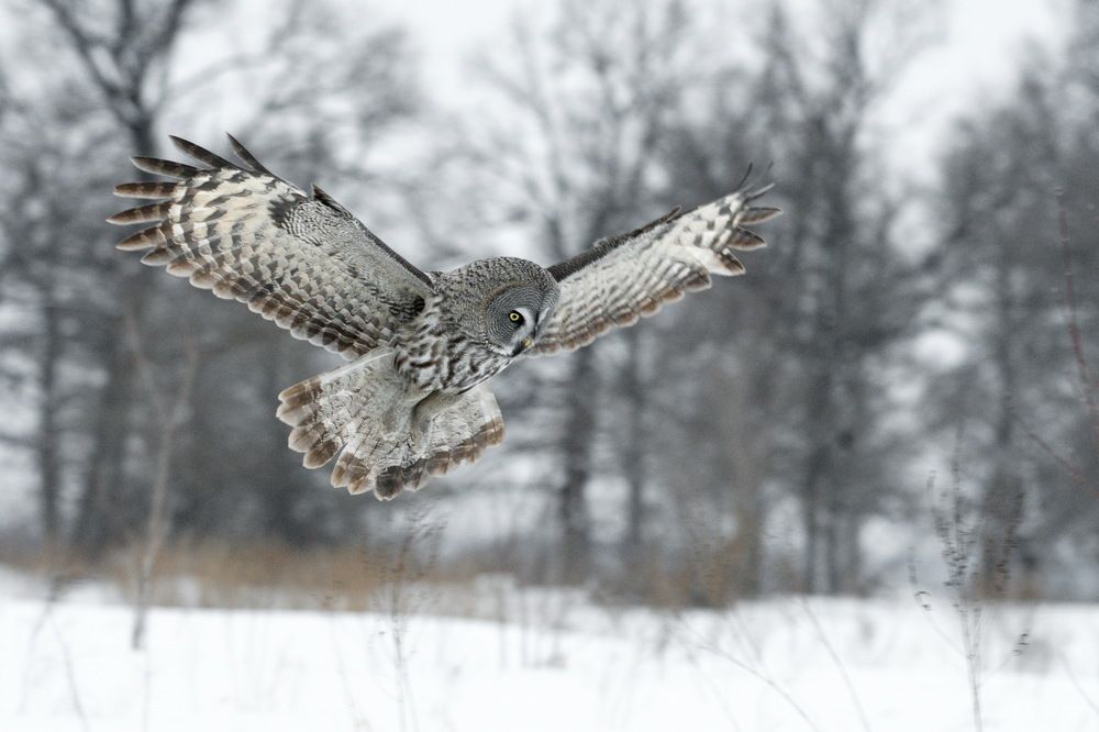 Photograph by Елена Валова