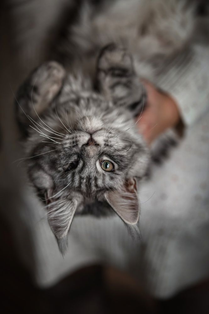 Photograph by Марина Иванова