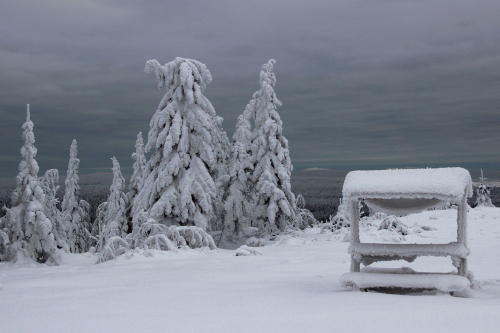 Photograph by Tatjana Tatjana