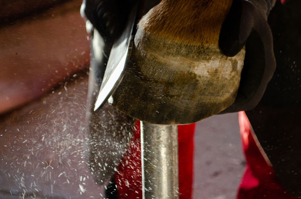 Фотография автора Мария