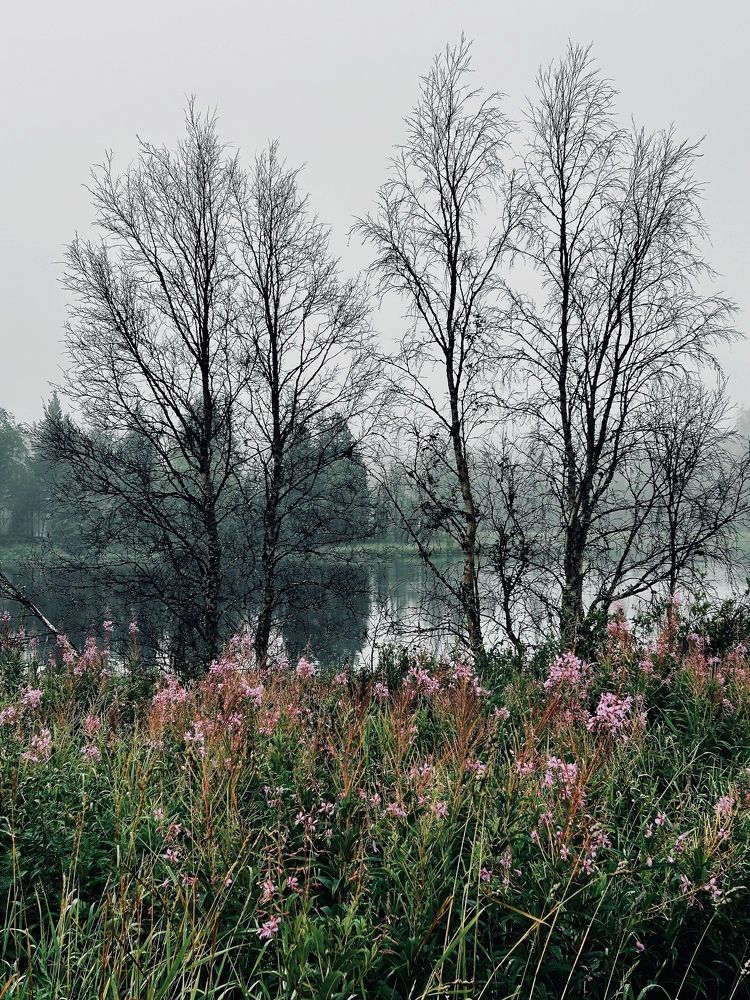 Photograph by Елена Маркова