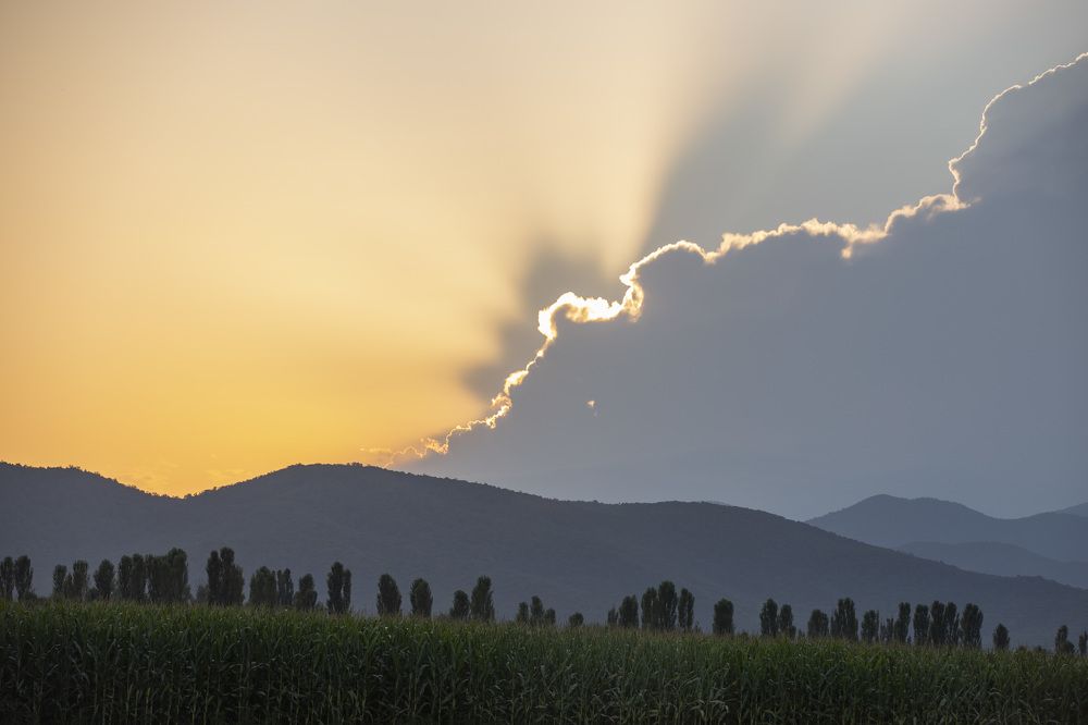 Photograph by Александр Парфенов