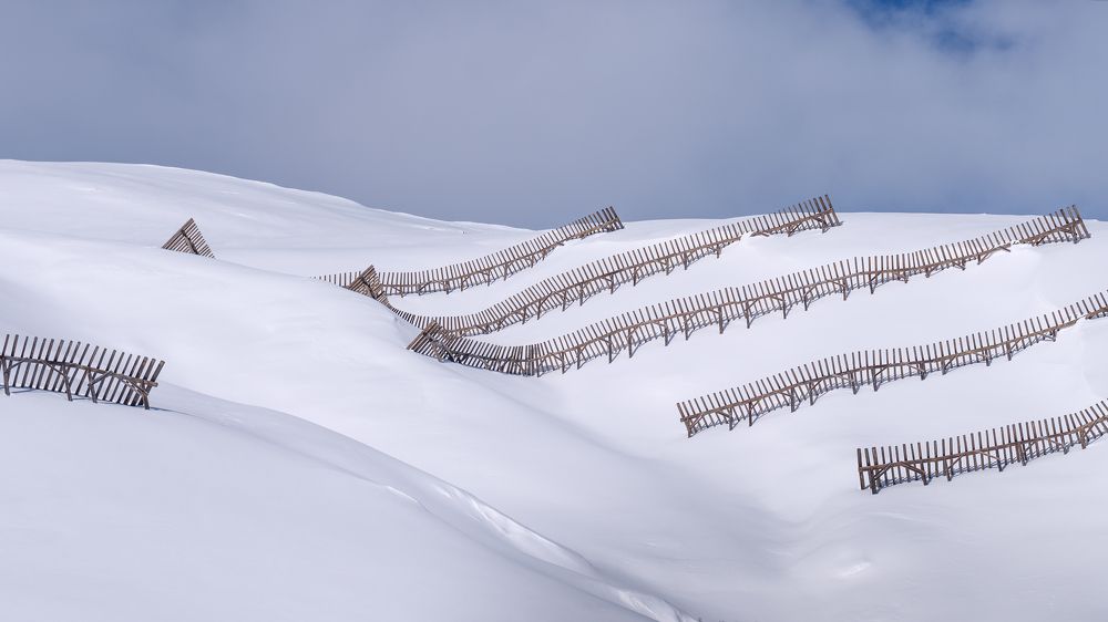 Поползновения