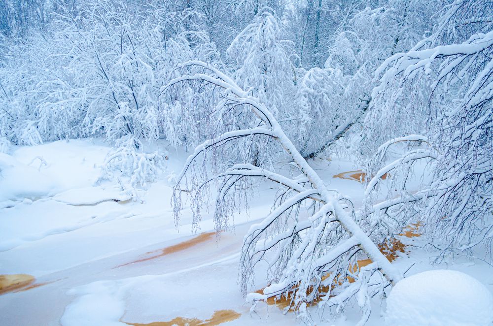 Photograph by Валентина Ивашова