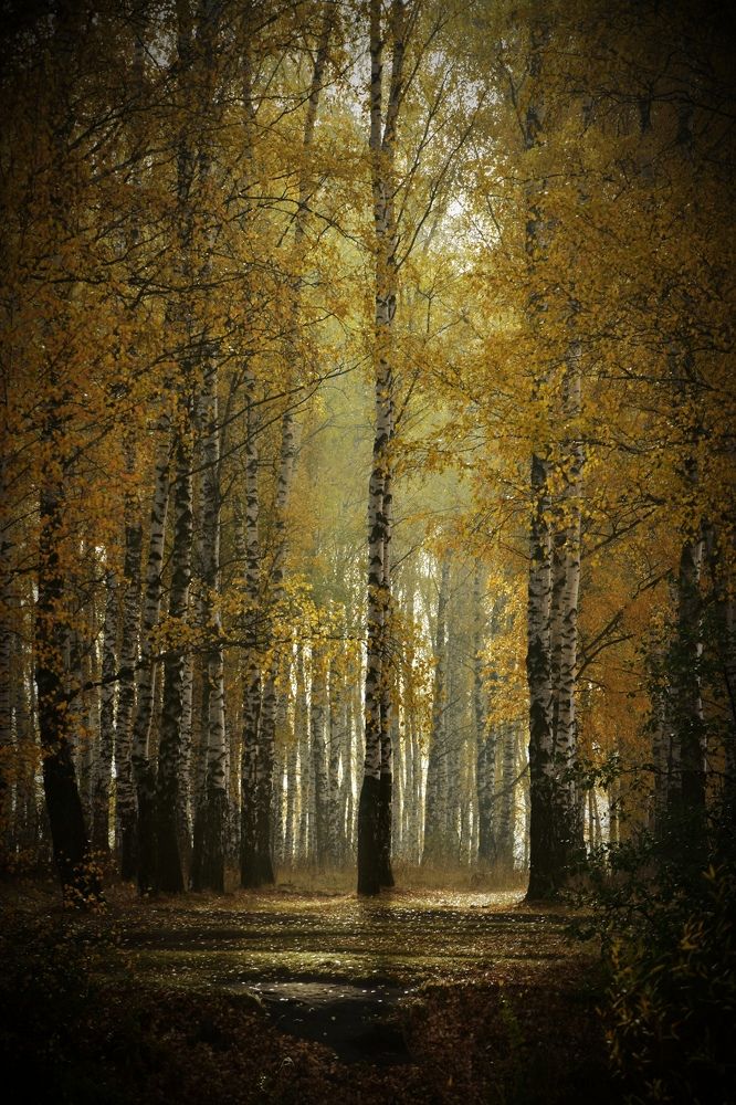 Photograph by Валерий Гудков