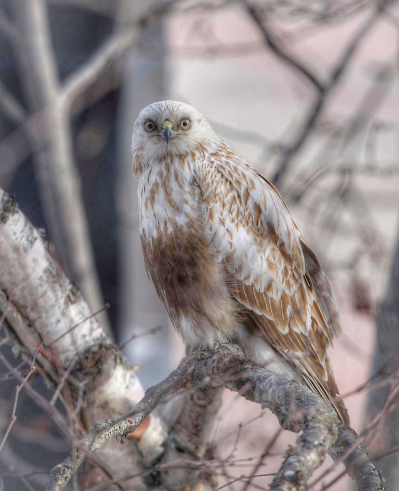 Photograph by ЕЛЕНА Рохо-Фернандес