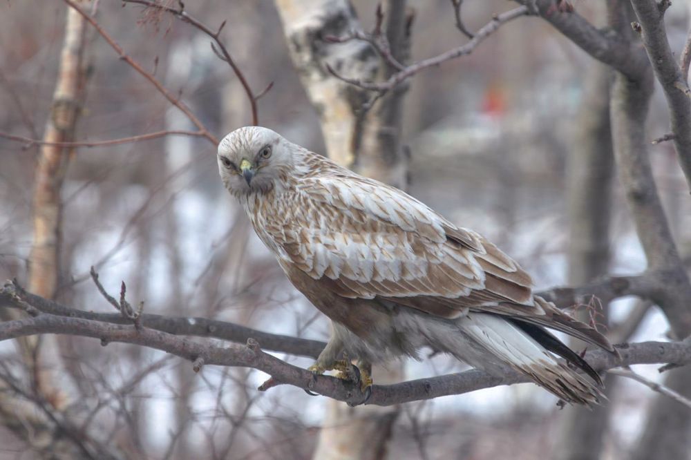 Photograph by ЕЛЕНА Рохо-Фернандес