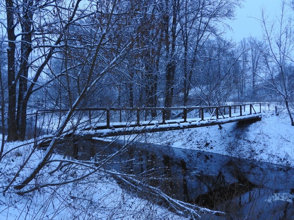 Фотография автора YURY RAMITSAN