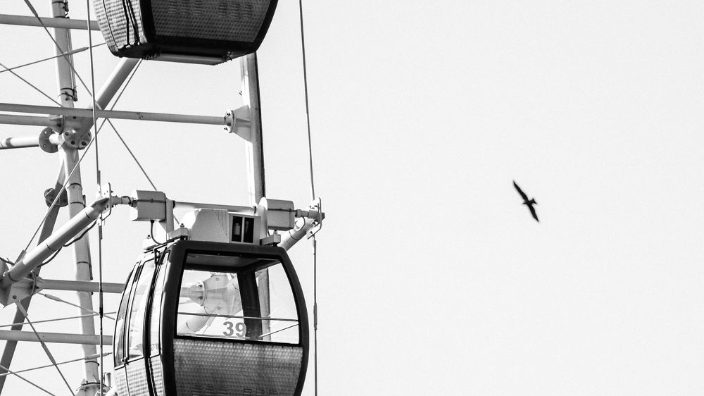 Photograph by Максим Медведев