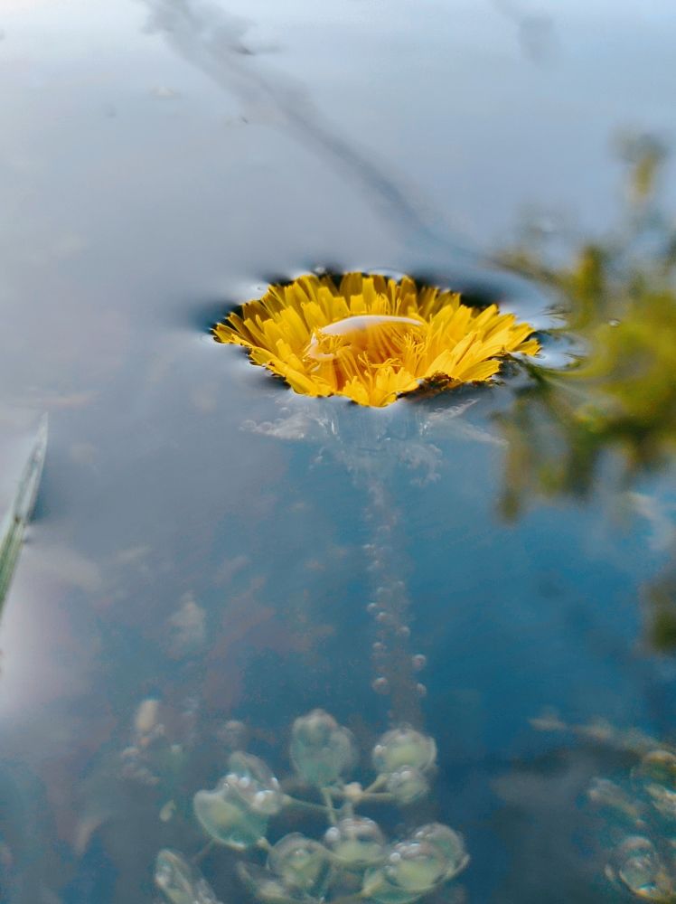 Photograph by Надежда Батракова