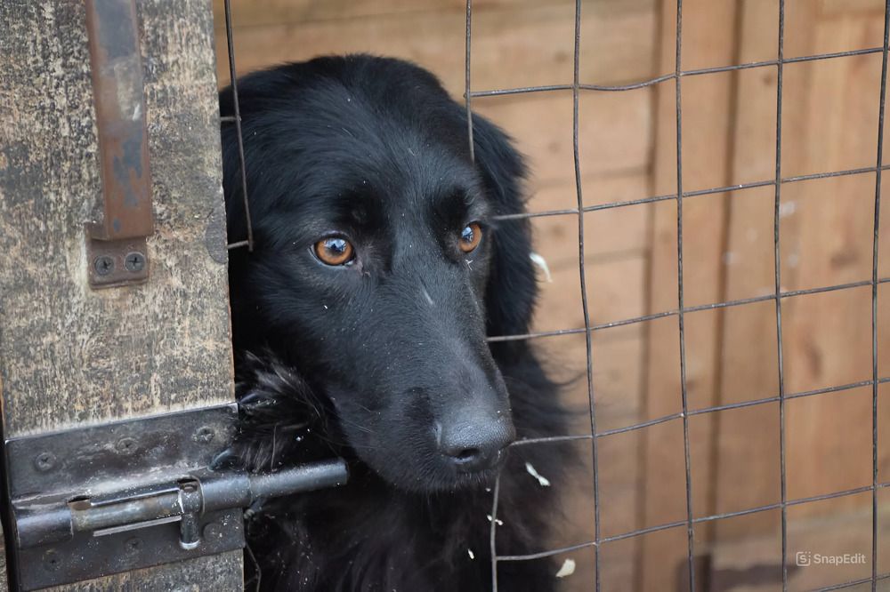 Photograph by Алёна