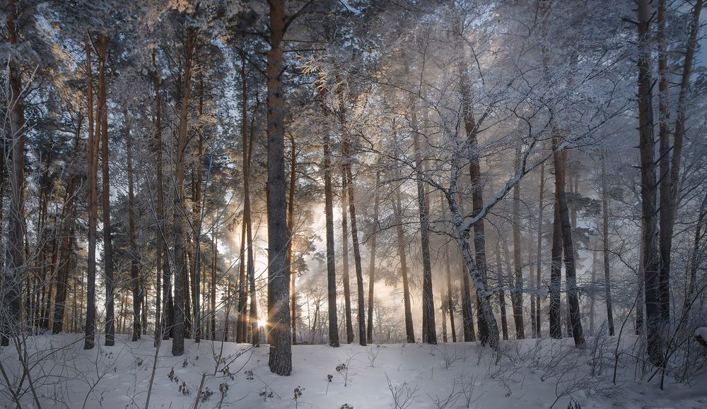 Photograph by Чичкин Валерий