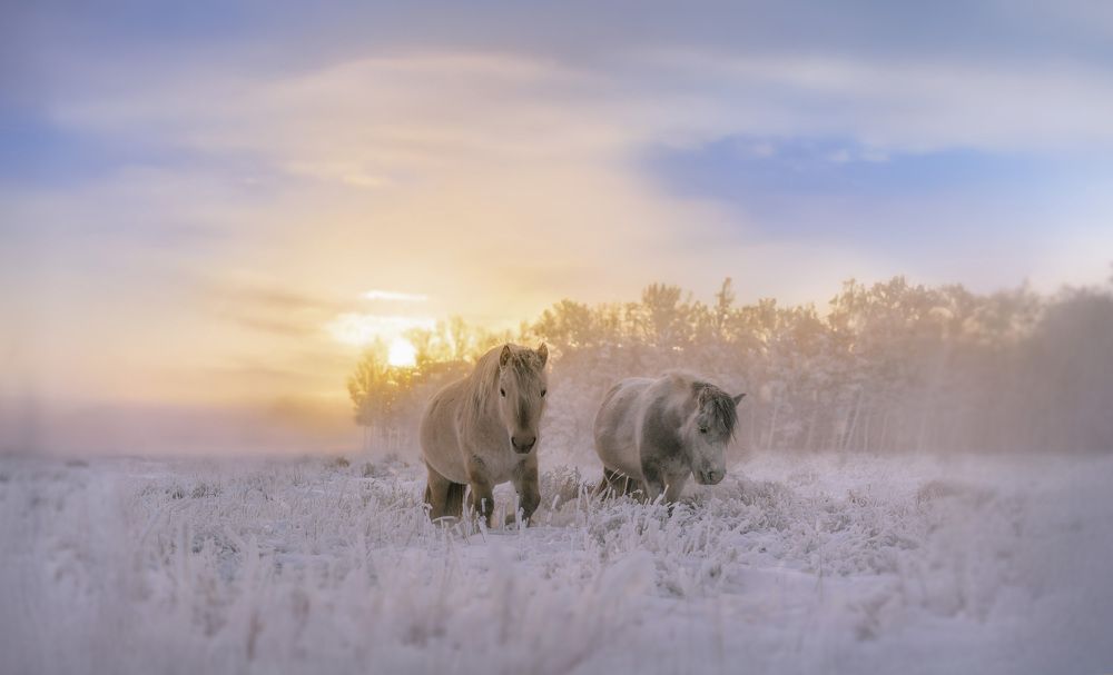 Photograph by Анастасия Тетерина