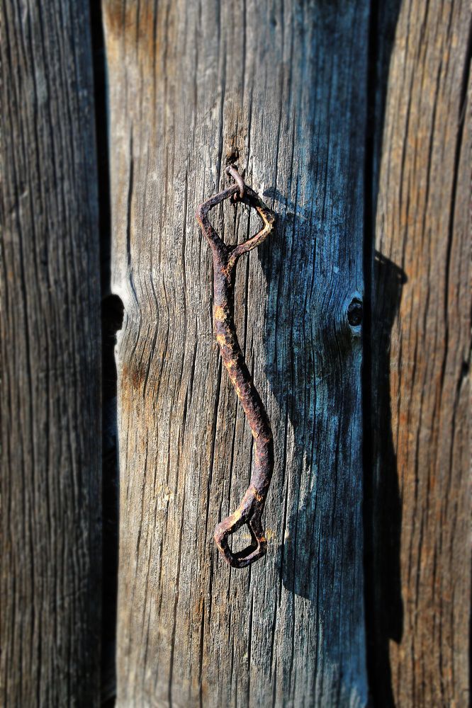 Photograph by Vitaliy Saposhnikov