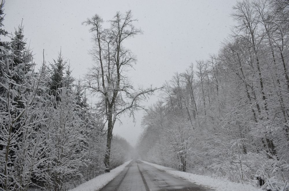 Photograph by Надежда Каравайцева
