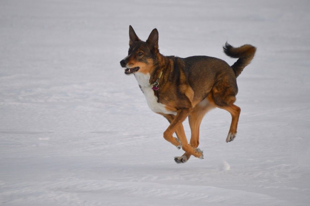 Photograph by Маринова Марина