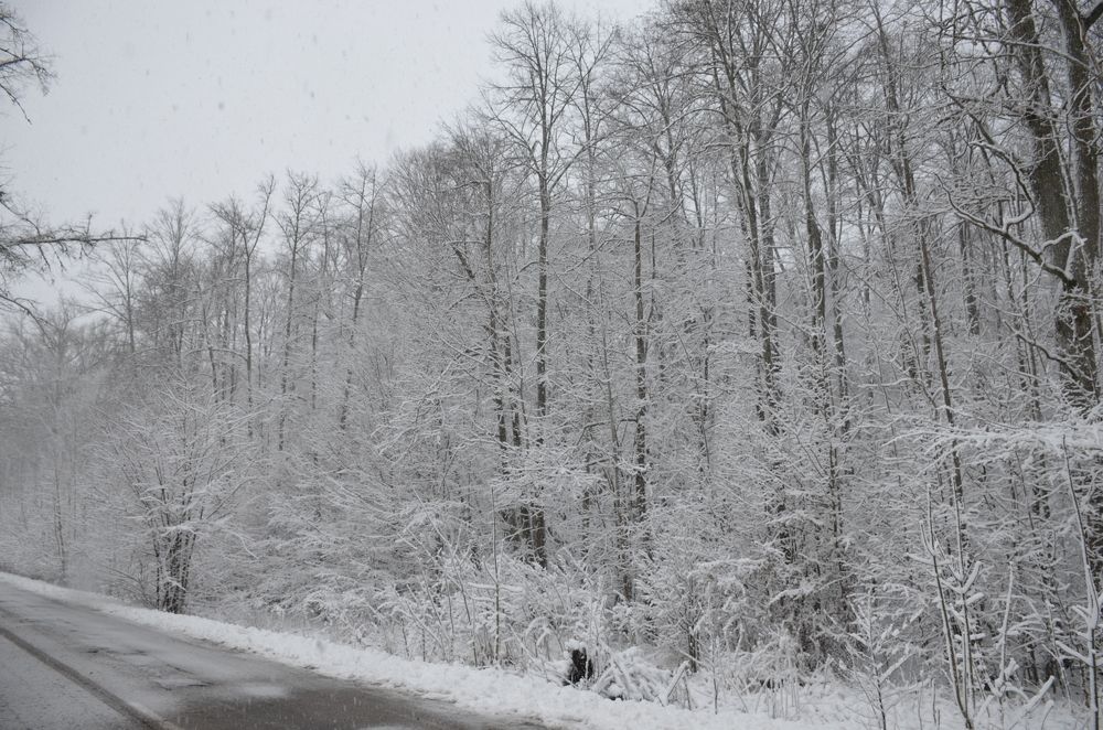 Photograph by Надежда Каравайцева