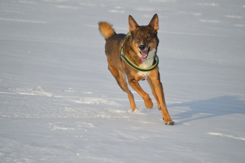 Photograph by Маринова Марина