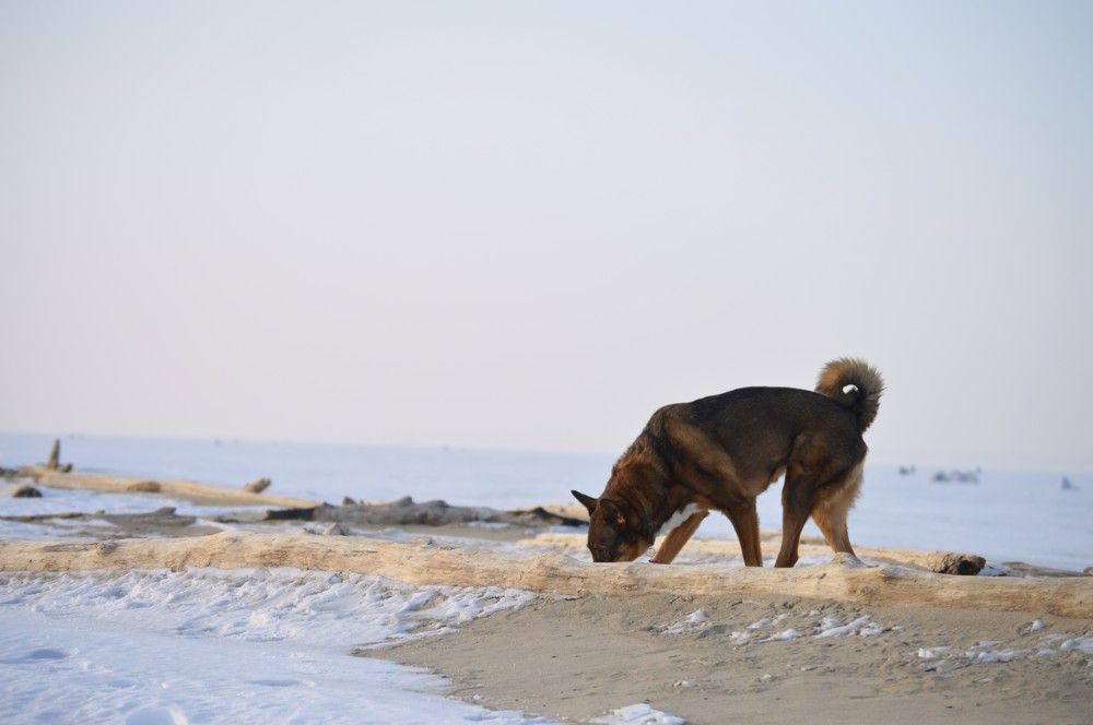 Photograph by Маринова Марина