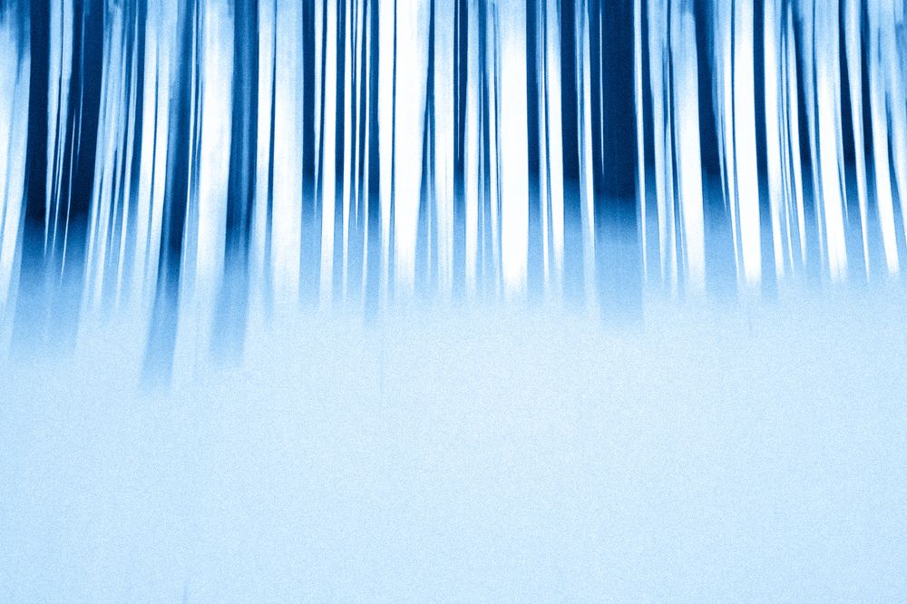 Photograph by Алёна Whitelakes