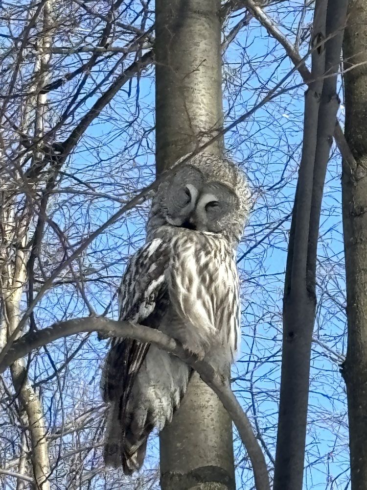 Photograph by Юлия