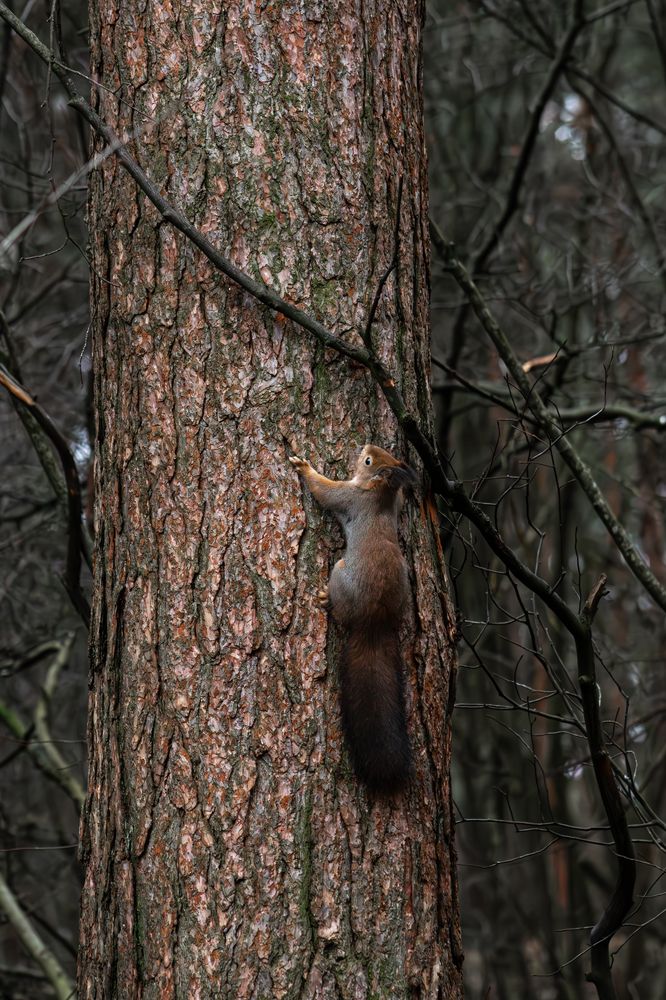 Фотография автора Ольга Матвеева